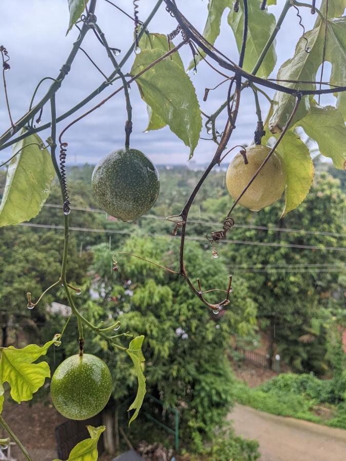 Namal Stay Weligama Buitenkant foto